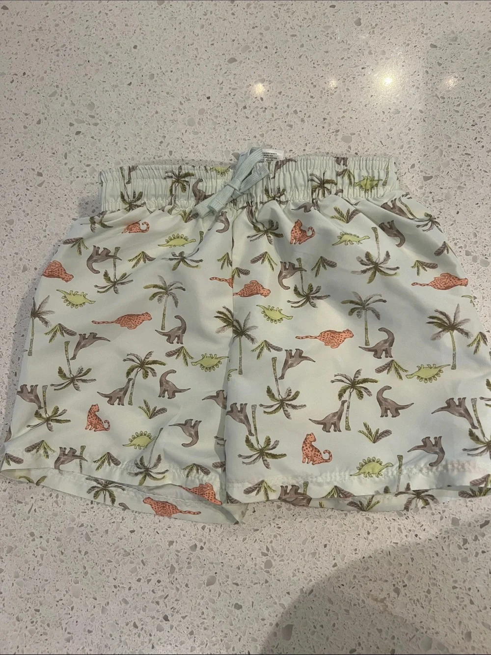 H&M Light Mint Swim Trunks with Dino & Palm Print